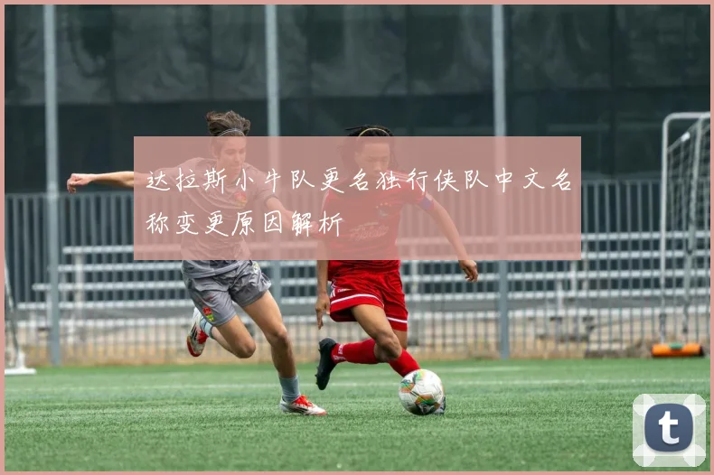 达拉斯小牛队更名独行侠队中文名称变更原因解析