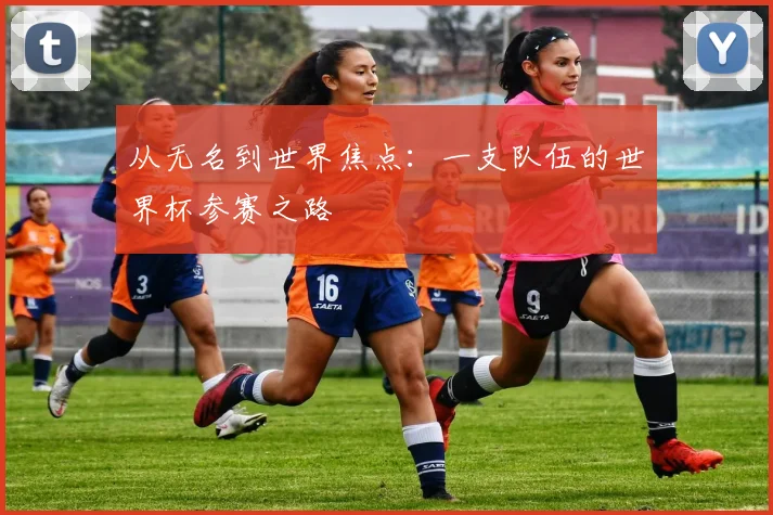 从无名到世界焦点：一支队伍的世界杯参赛之路